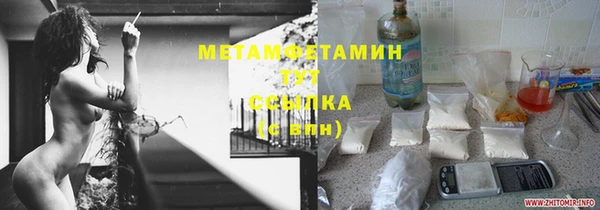прущие грибы Белоозёрский