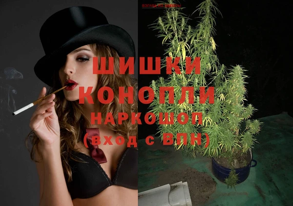 прущие грибы Белоозёрский