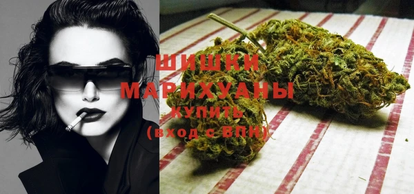 прущие грибы Белоозёрский