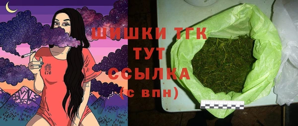 соль ск Белокуриха
