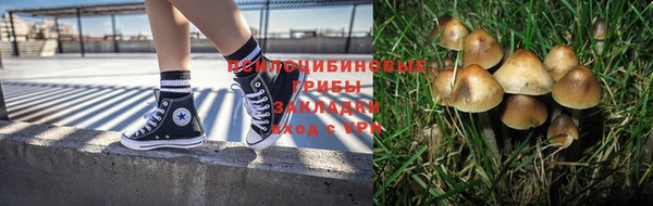 соль ск Белокуриха